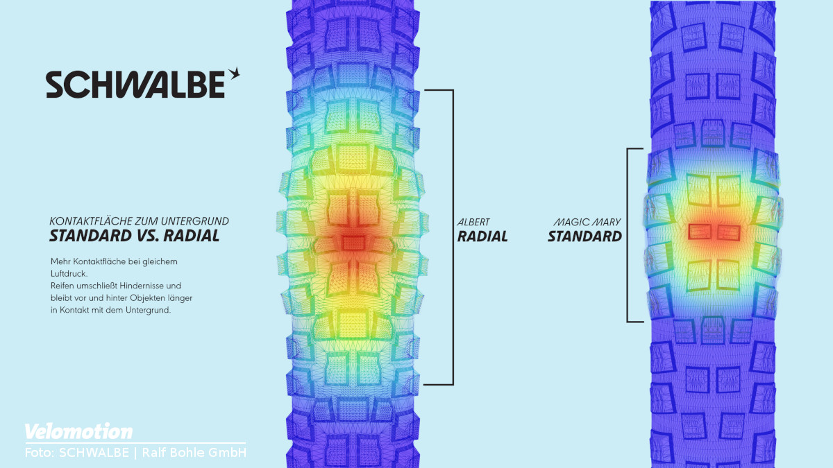 Schwalbe präsentiert die neuen Albert und Shredda Radialreifen