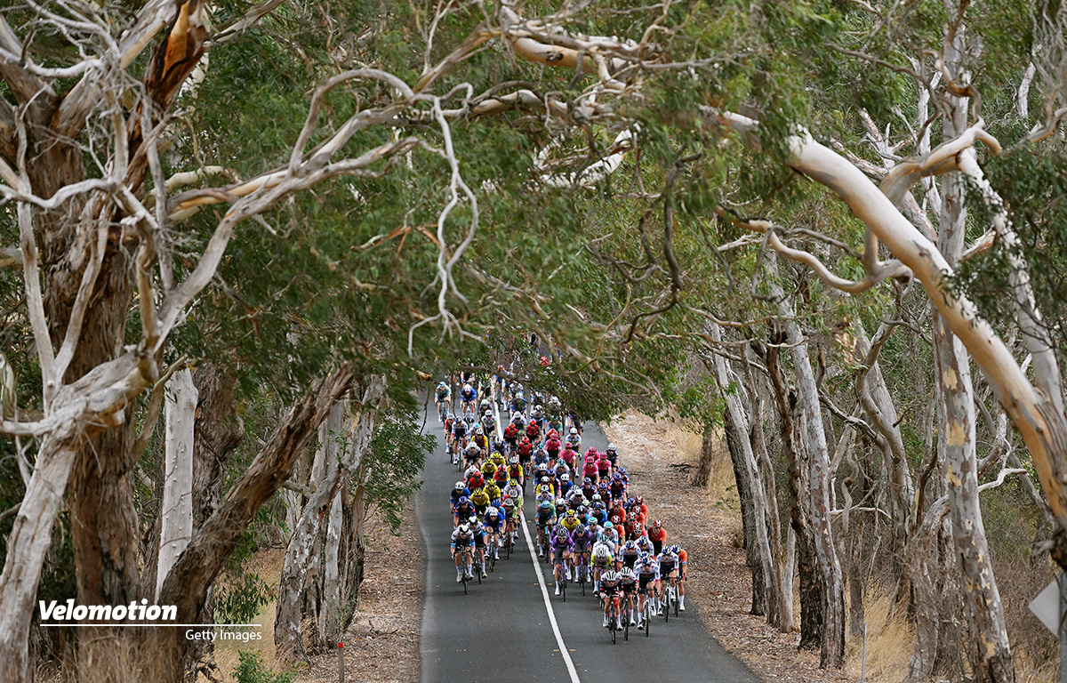 Tour Down Under