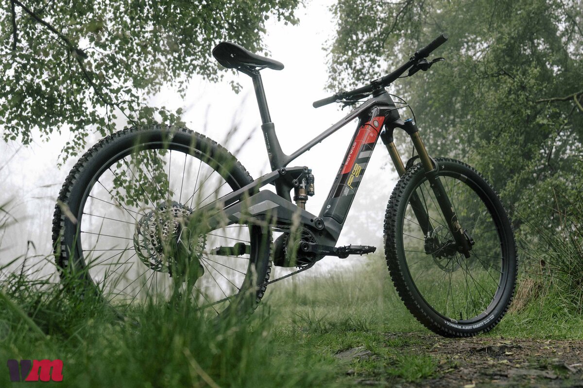 Red Deer R.EX