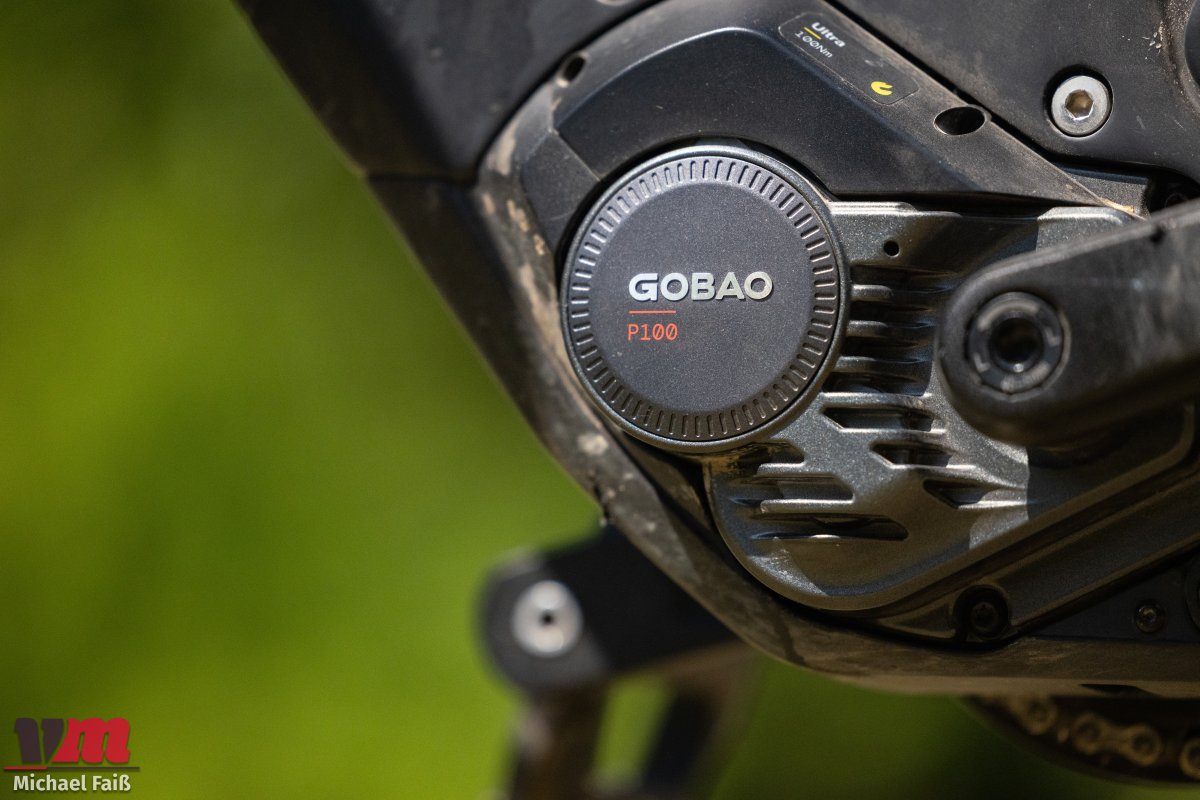 Gobao-P100-im-Test-Angriff-auf-die-Platzhirsche-von-Bosch-Co-