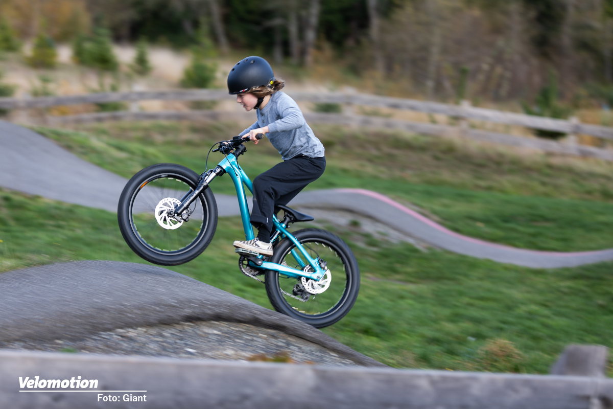 Drei-Modelle-mit-gr-enoptimiertem-Design-f-r-Trail-Dirt-Pumptrack-und-Bikepark-Die-Giant-STP-Serie-f-r-junge-Rider