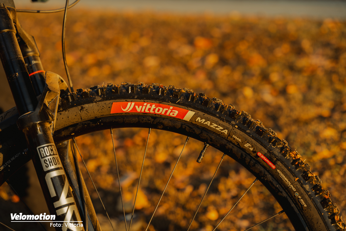 trail-konstruktion-f-r-mehr-grip-speed-und-kontrolle-brandneue-vittoria-mtb-trail-reifenserie