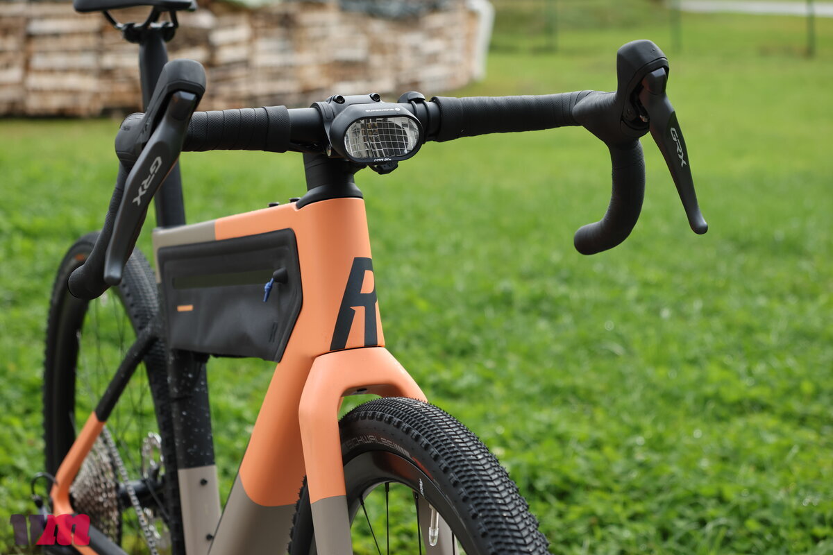 Rose Backroad Unsupported