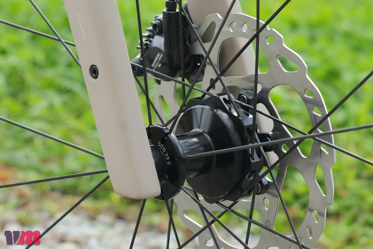 Rose Backroad Unsupported