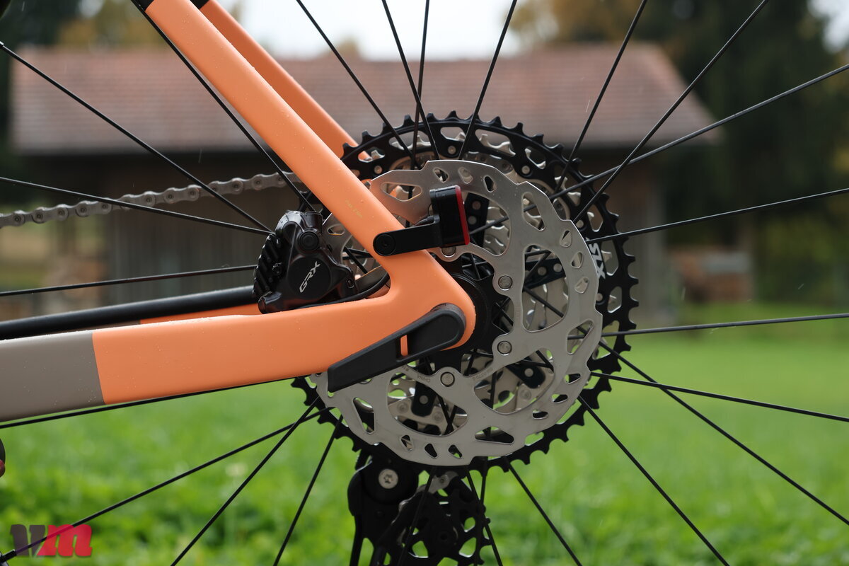 Rose Backroad Unsupported