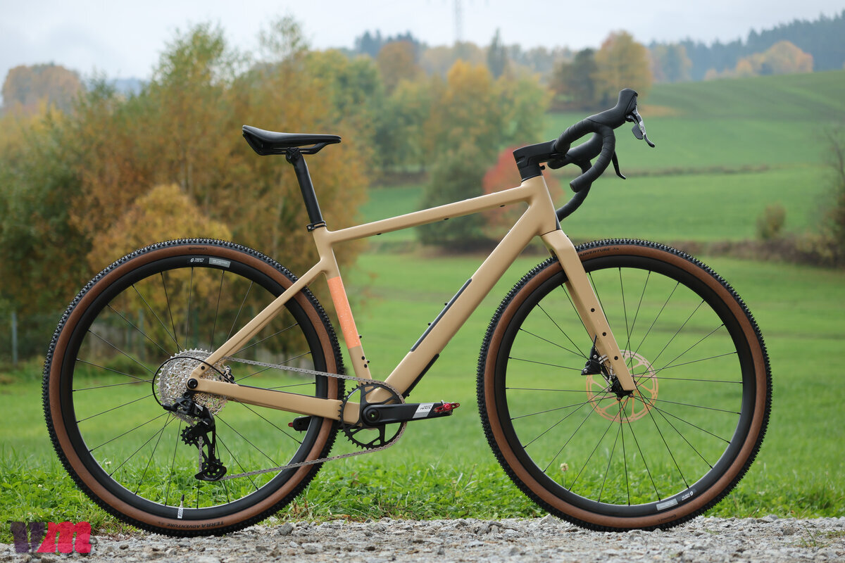 Rose Backroad AL Apex