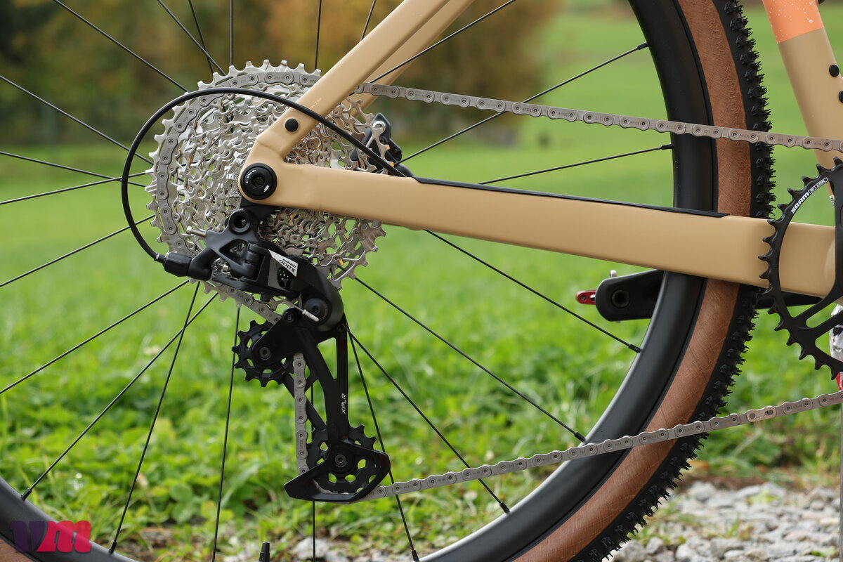 Rose Backroad AL Apex