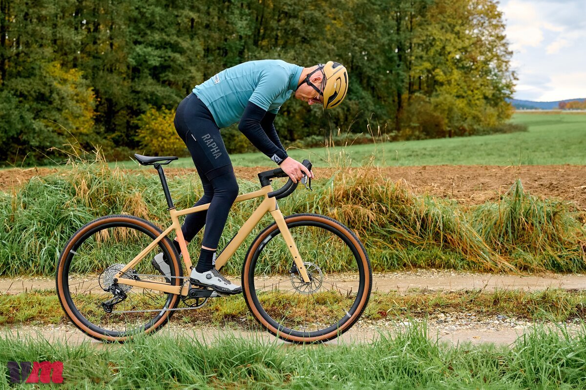 Rose Backroad AL Apex