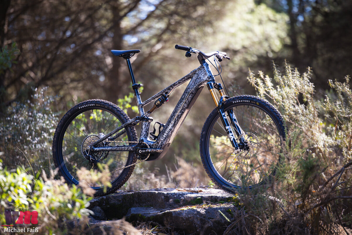 Specialized Levo R