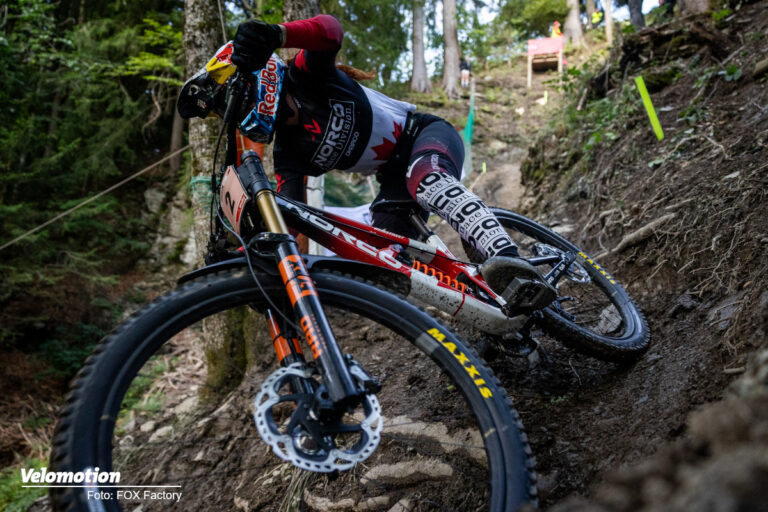 FOX 40 Downhill-Federgabel komplett überarbeitet