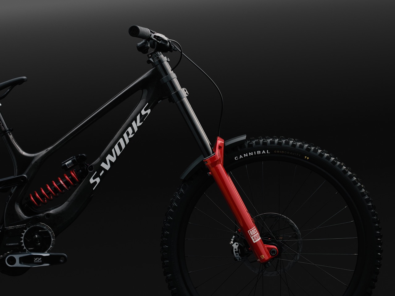 Specialized S-Works Demo 11