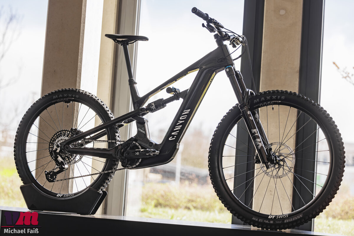 Canyon Strive:ON