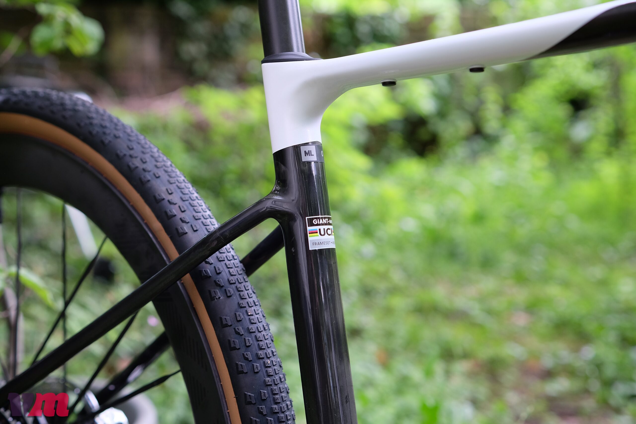 Giant Revolt Advanced SL