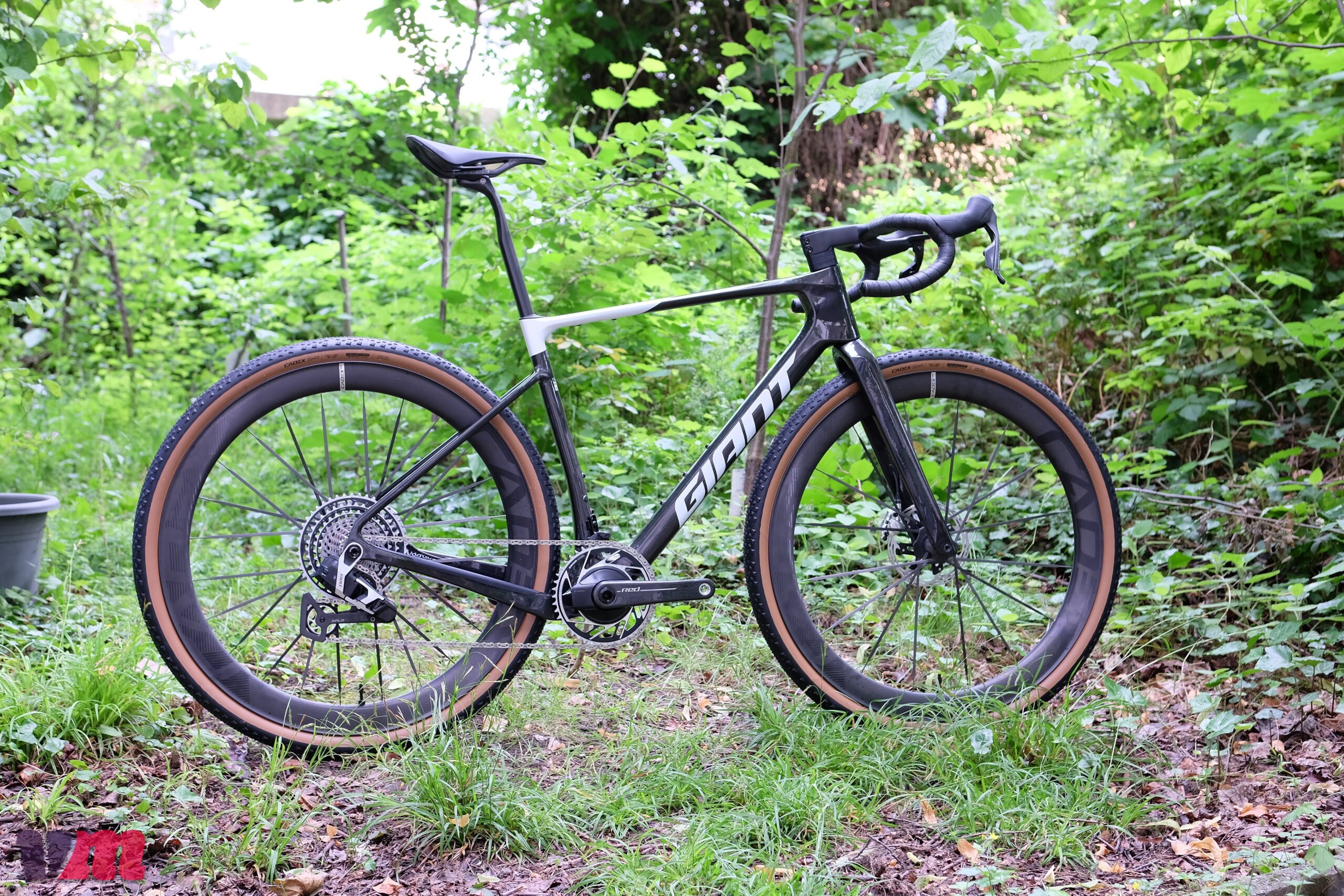 Giant Revolt Advanced SL