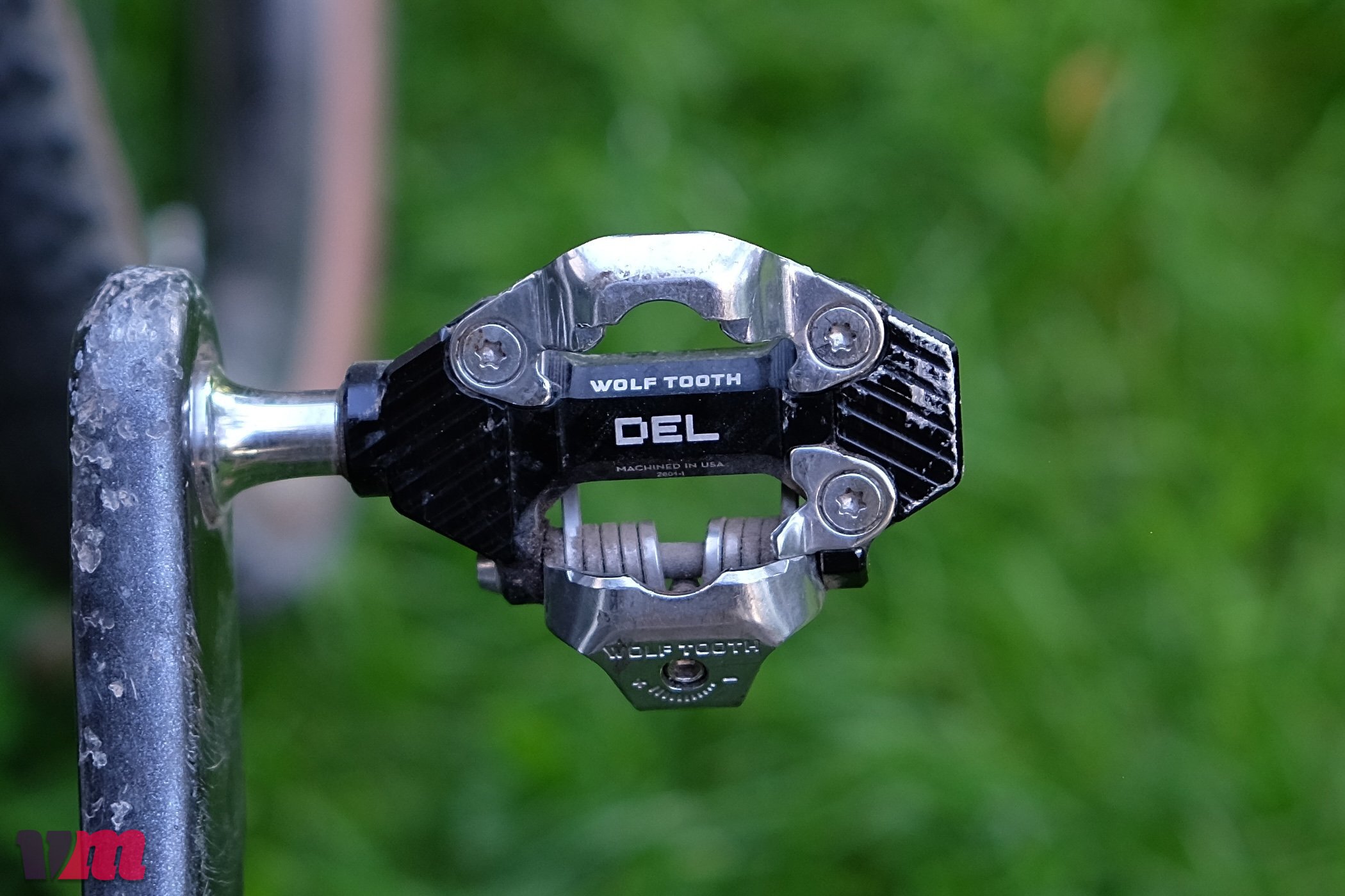 Wolf Tooth DEL