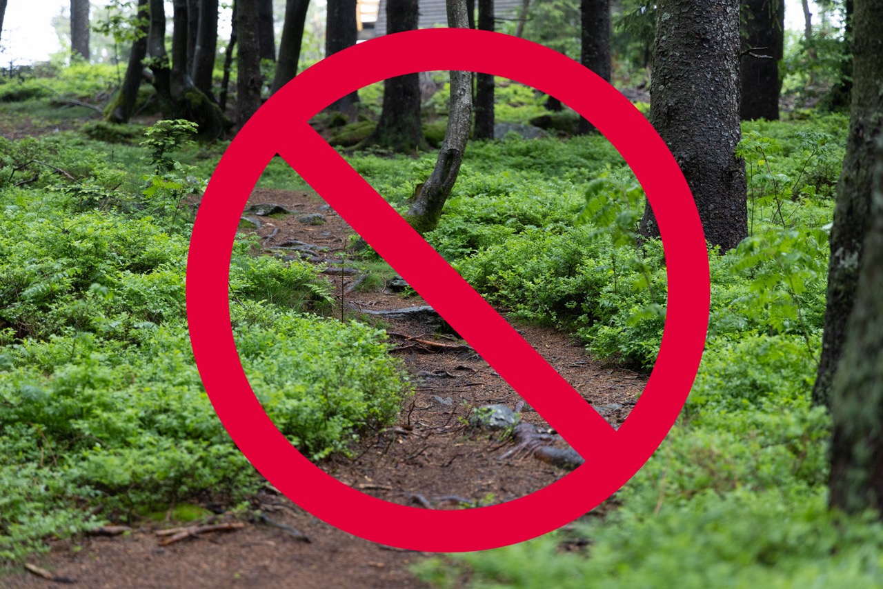 Das-aktuelle-Update-zum-Landesforstgesetz-MTB-Verbot-in-NRW-vom-Tisch-