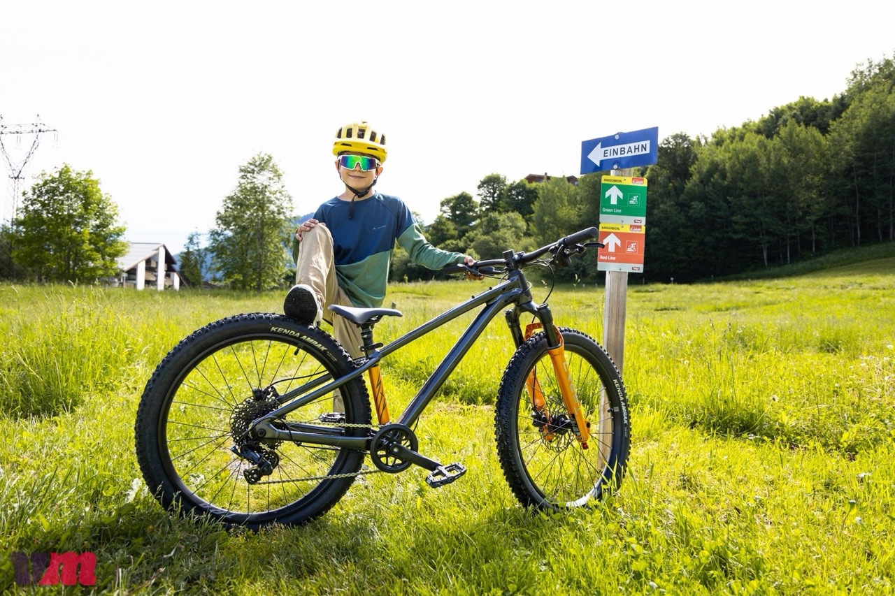 Giant STP 24 FS