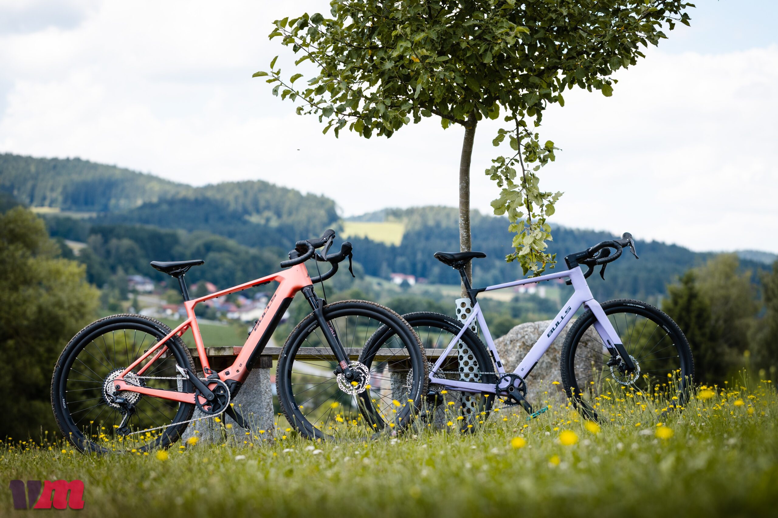 Bulls Machete RX 1 und EVO SX 1