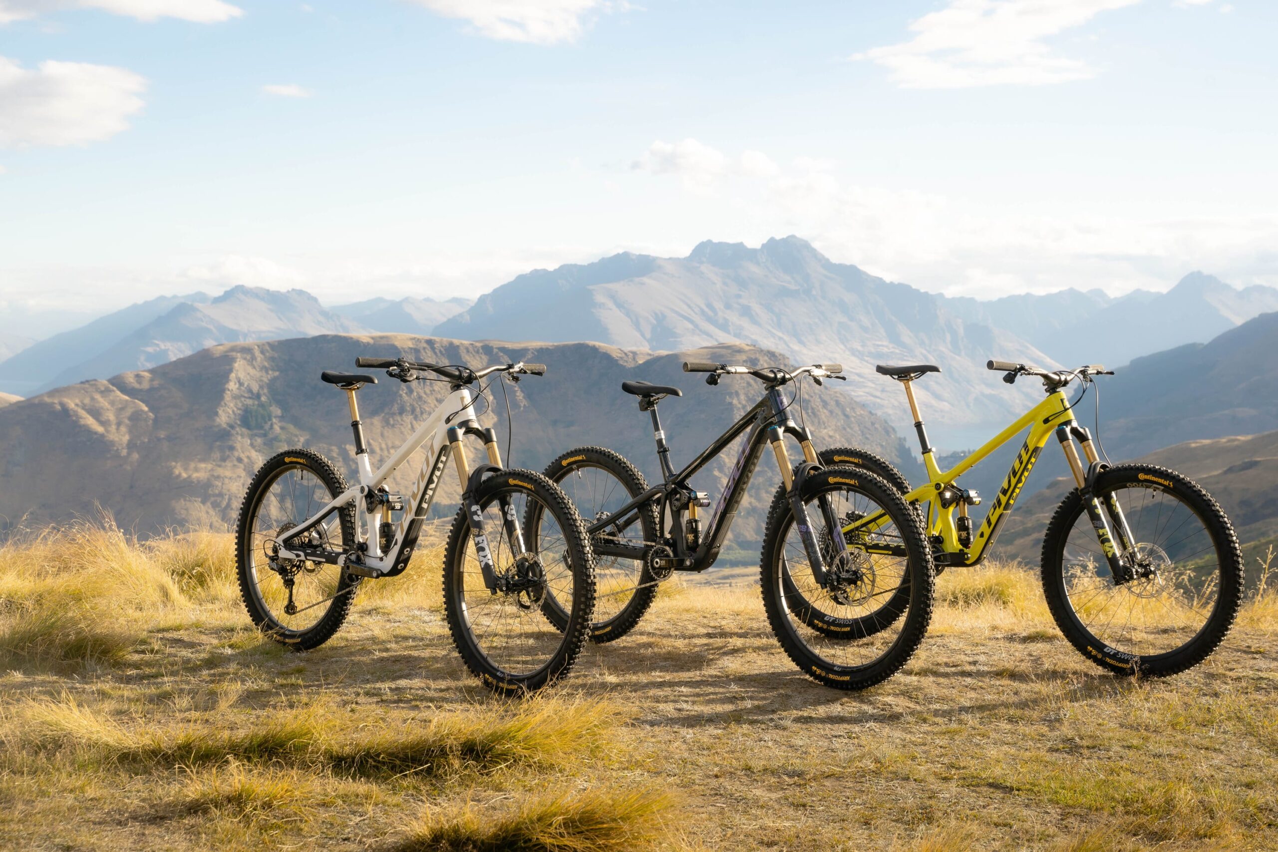 Variable Endurobikes