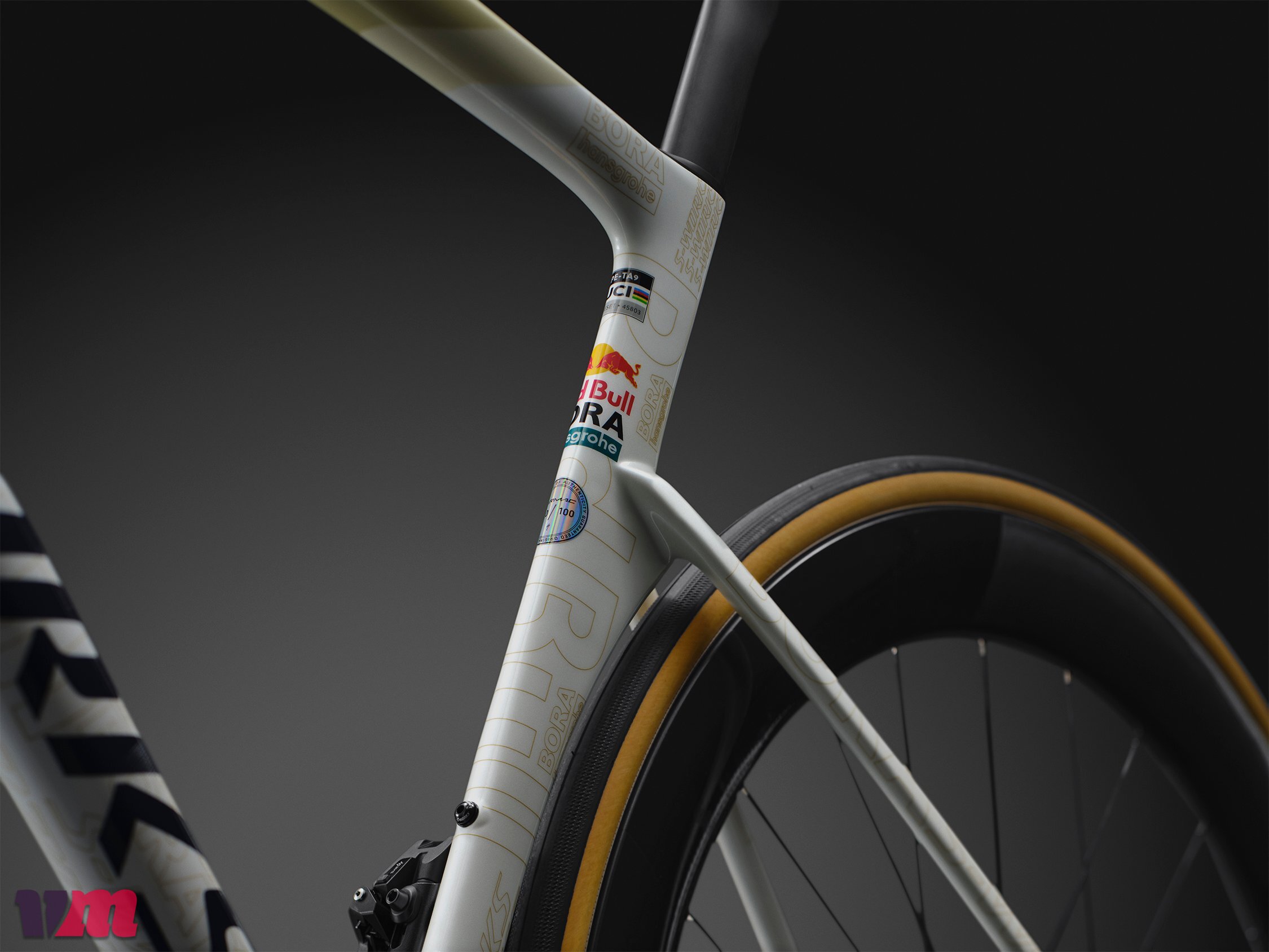Specialized Tarmac SL9 Remco Limited Edition