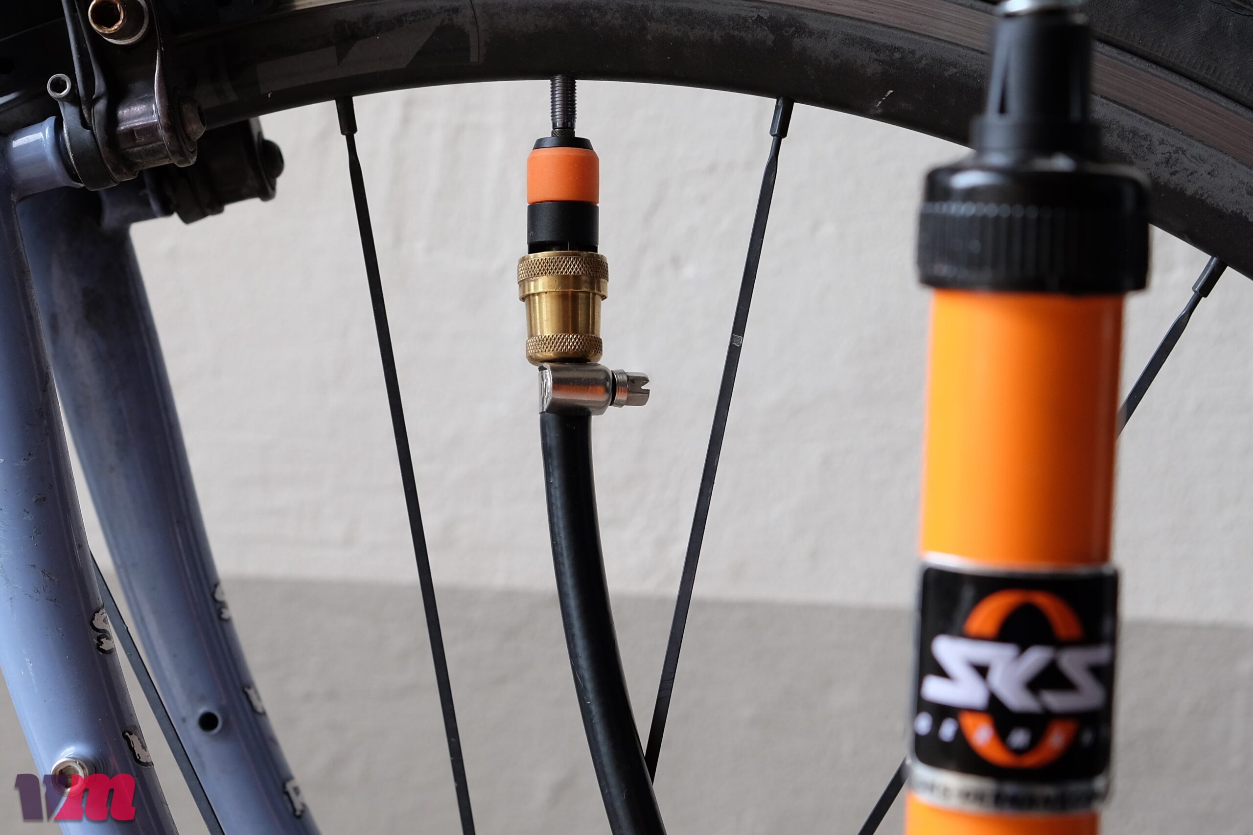 Schwalbe Clik Valve