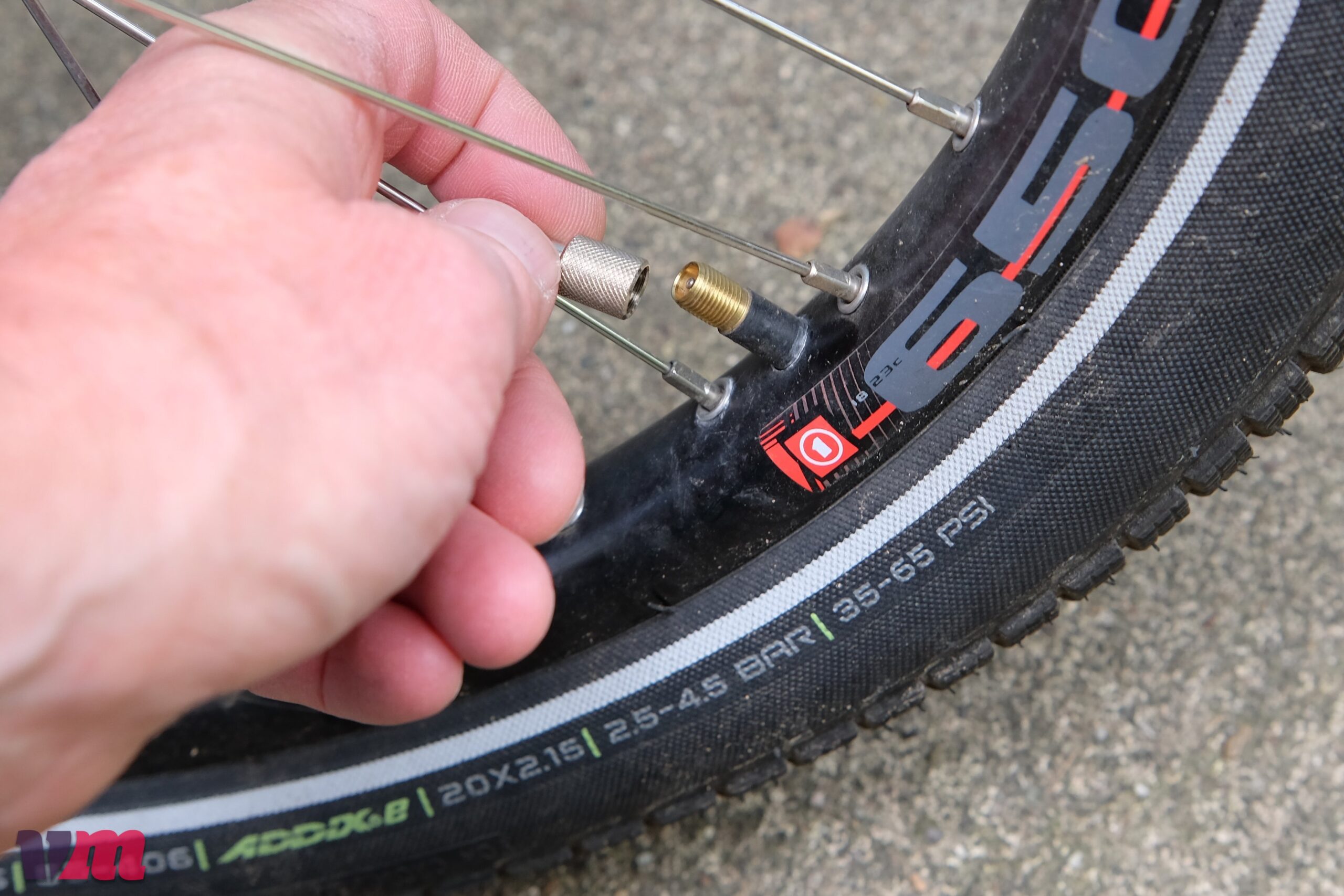 Schwalbe Clik Valve