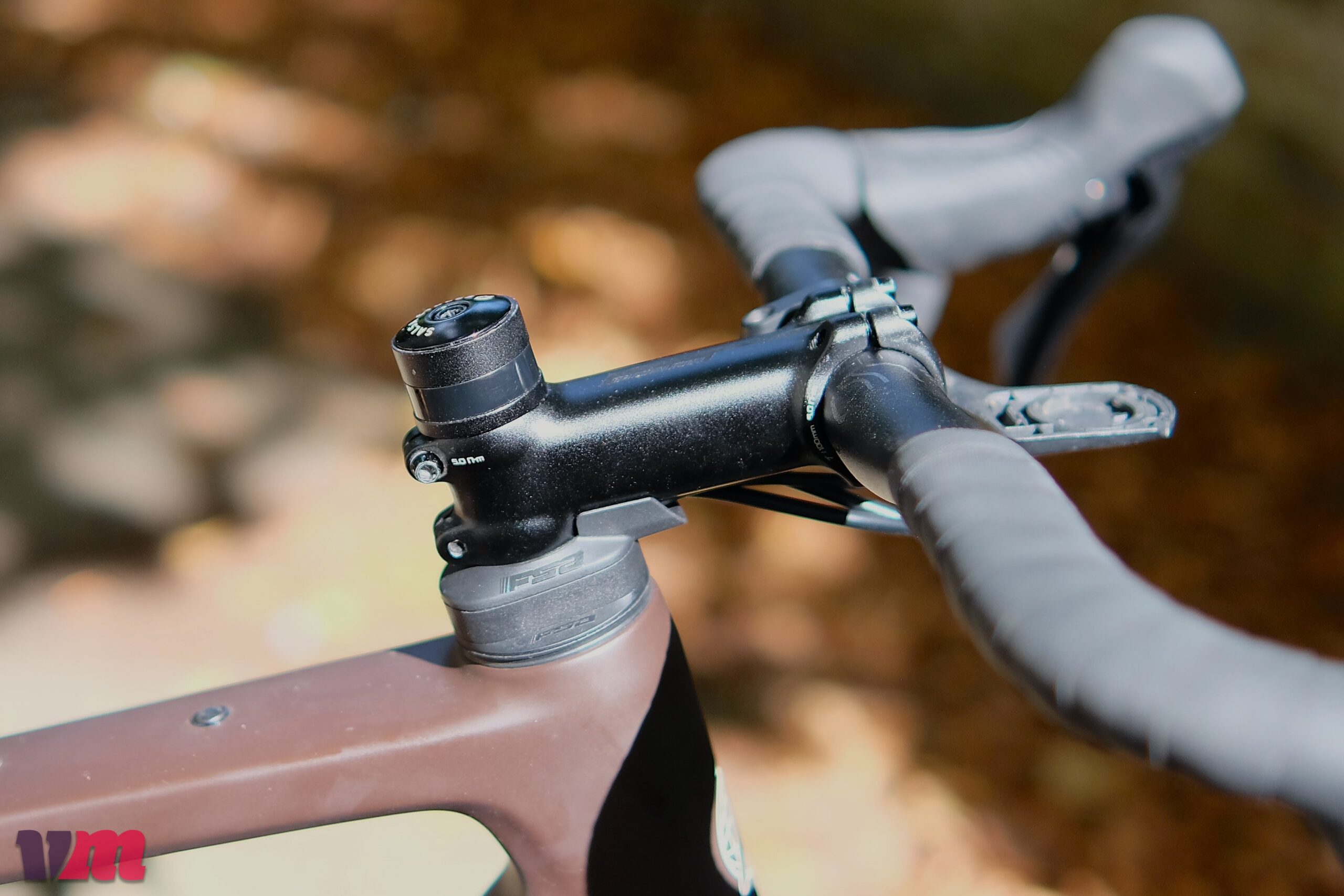 Salsa Flyway
