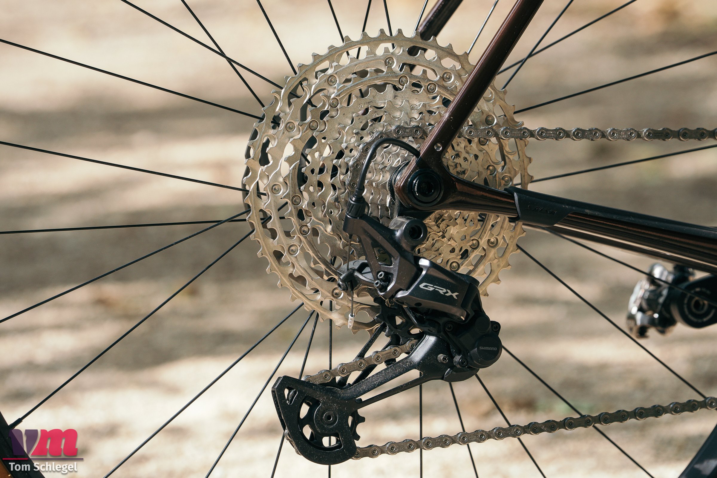 Salsa Flyway