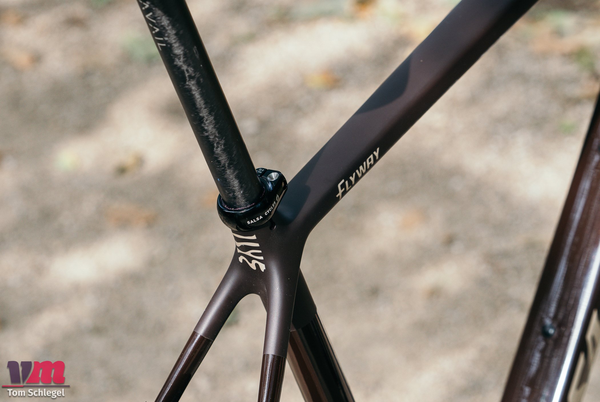 Salsa Flyway