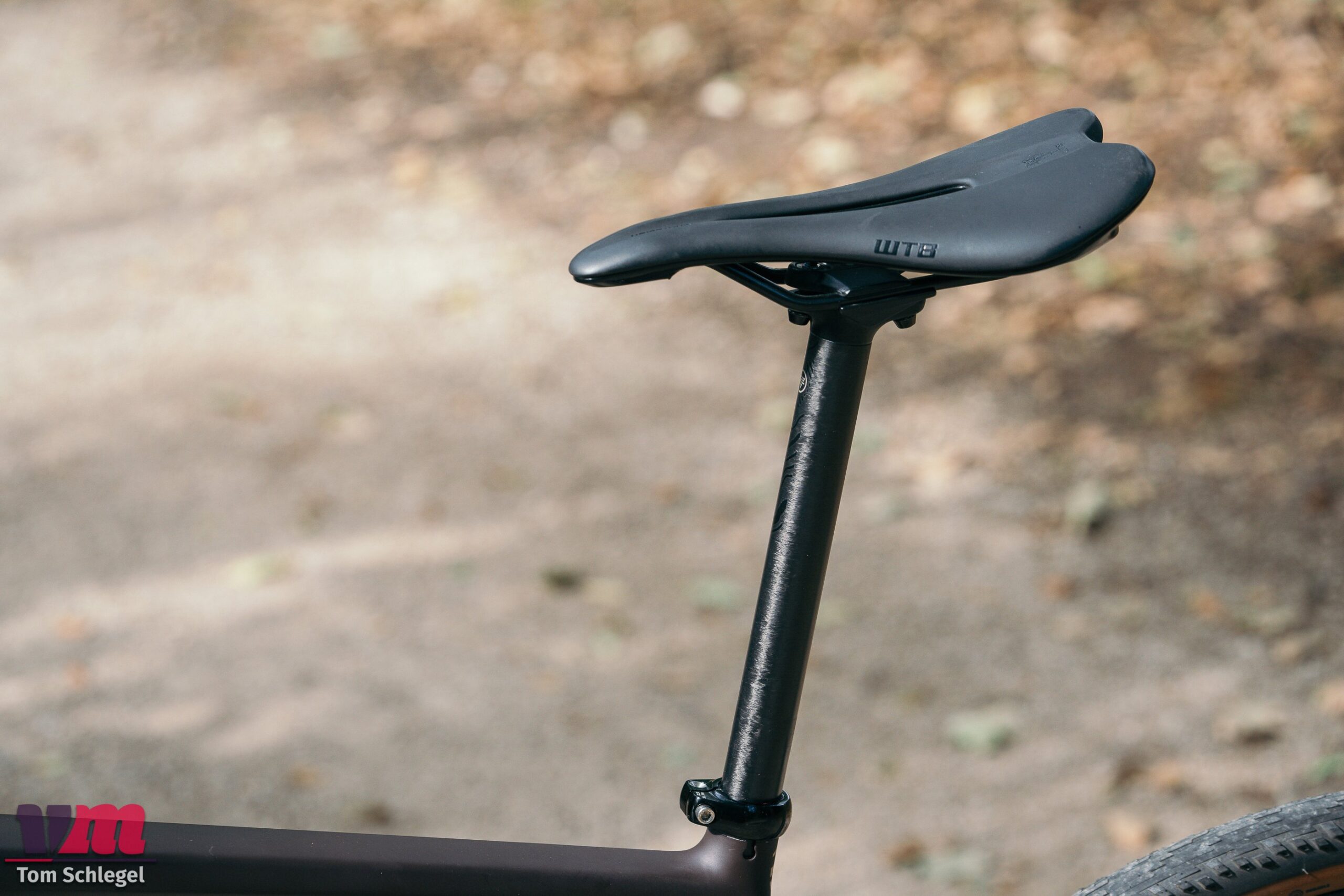 Salsa Flyway