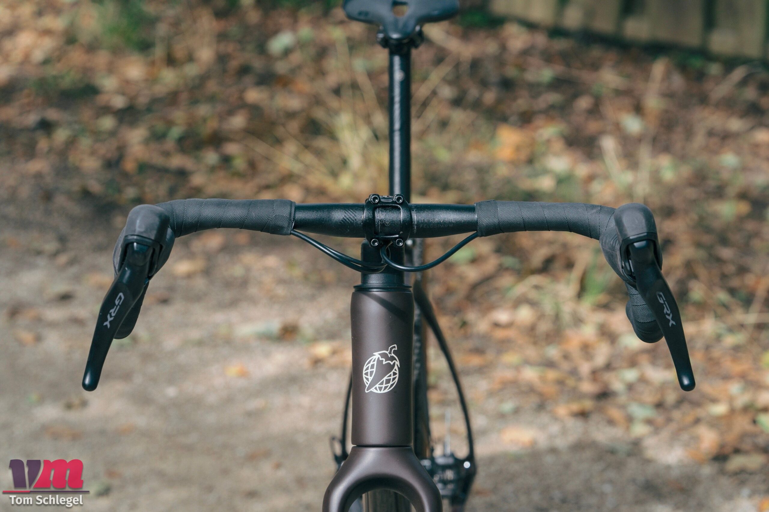 Salsa Flyway