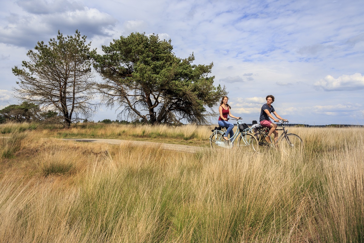 Nationalpark Hoge Veluwe, Anderen Holland