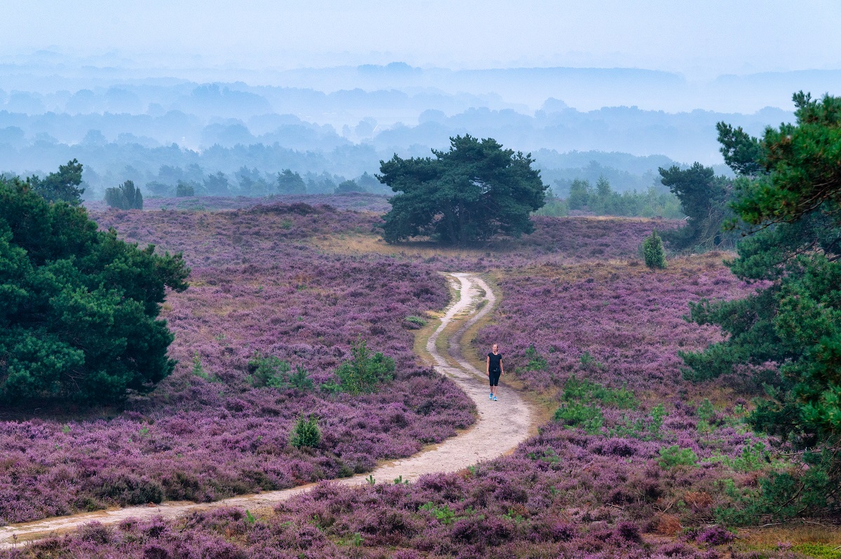 Nationalpark Sallandse