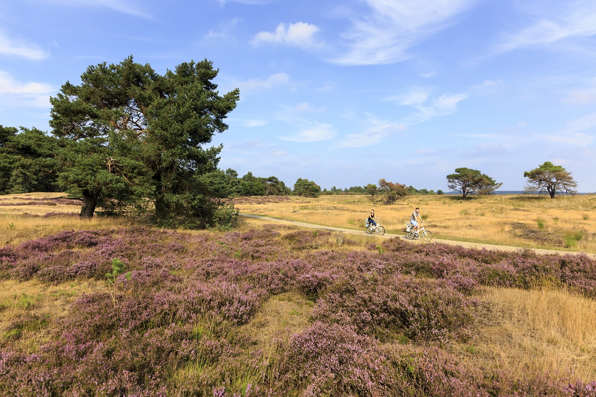 Nationalpark Hoge Veluwe, Anderen Holland