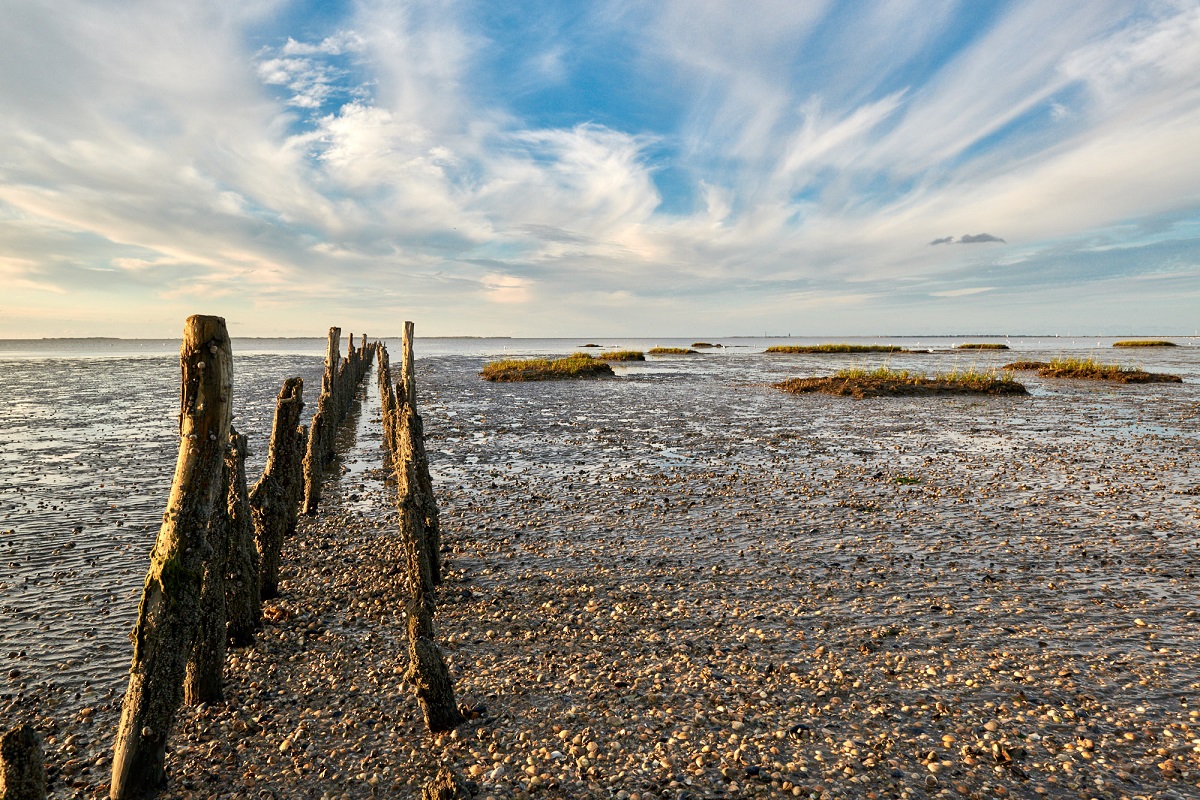 Wattenmeer in Ostfriesland