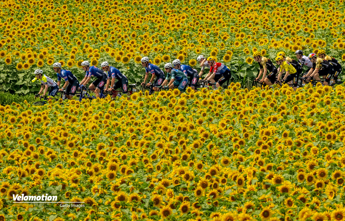 Tour de France 2023 Highlights